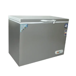 ch300 Silver (1)