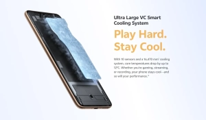 ViVo V60 -20